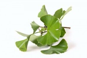 Ginkgo biloba dzimumlocekļa paplašināšanai